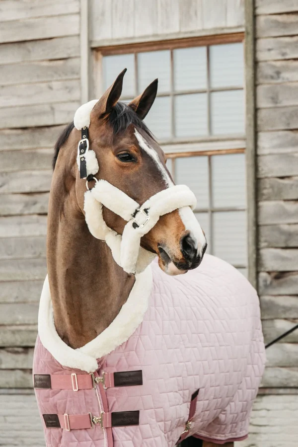 kentucky Horsewear  Velvet stevnedekken, 160 gram* Stalldekken