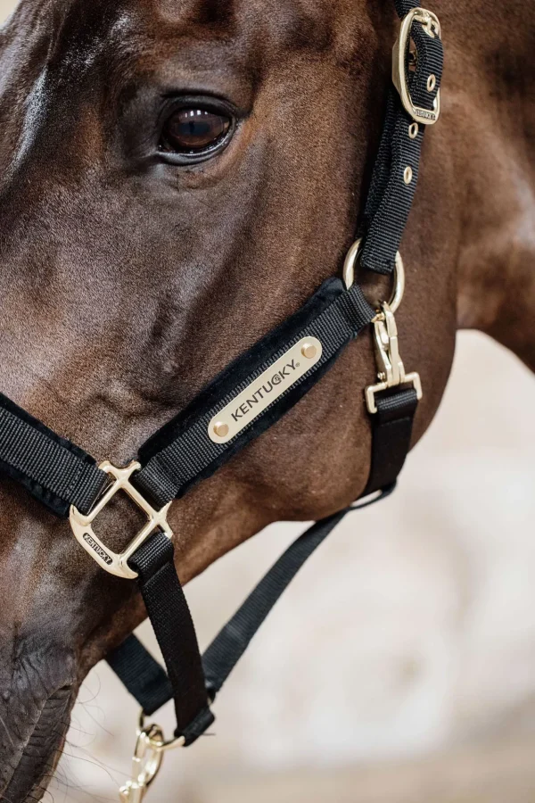 kentucky Horsewear Velvet grime* Grimer