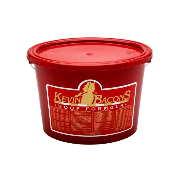 kevinbacon Kevin Bacon* Tilskudd