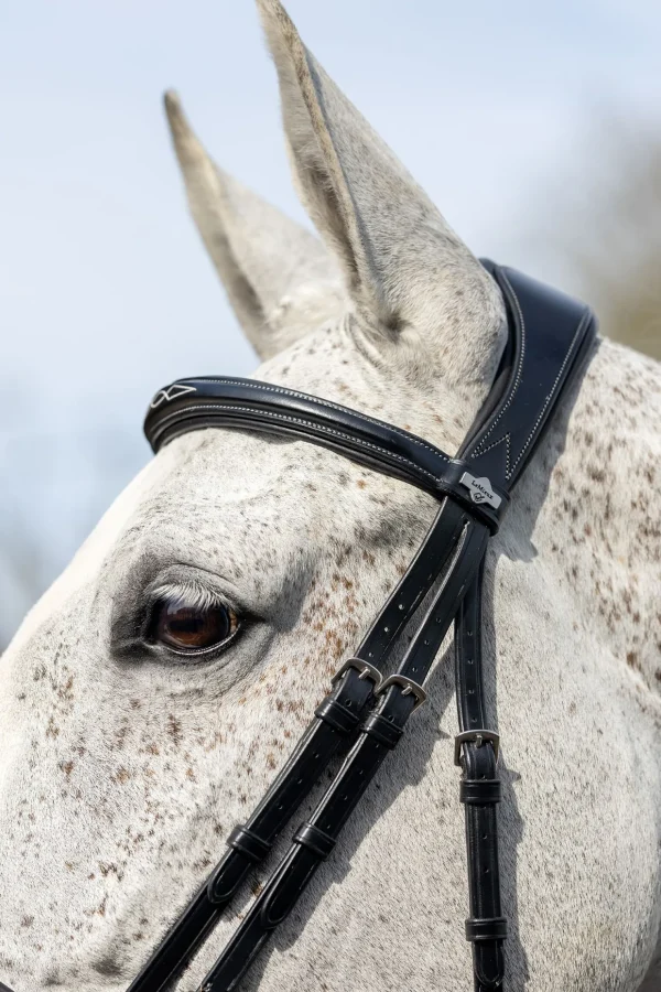 lemieux Competition Flash hodelag* Ponni Hodelag Og Grimer | Hodelag & Nesereimer