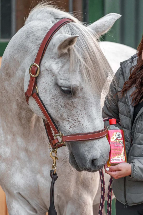 leovet Power Shampoo med kamille for lyst hår* Stell Pels, Hud Og Man