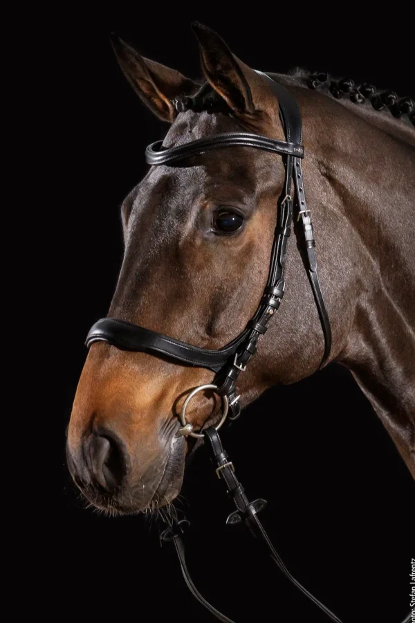 schockemohle Schockemöhle Sports Equitus Delta hodelag* Ponni Hodelag Og Grimer | Hodelag & Nesereimer