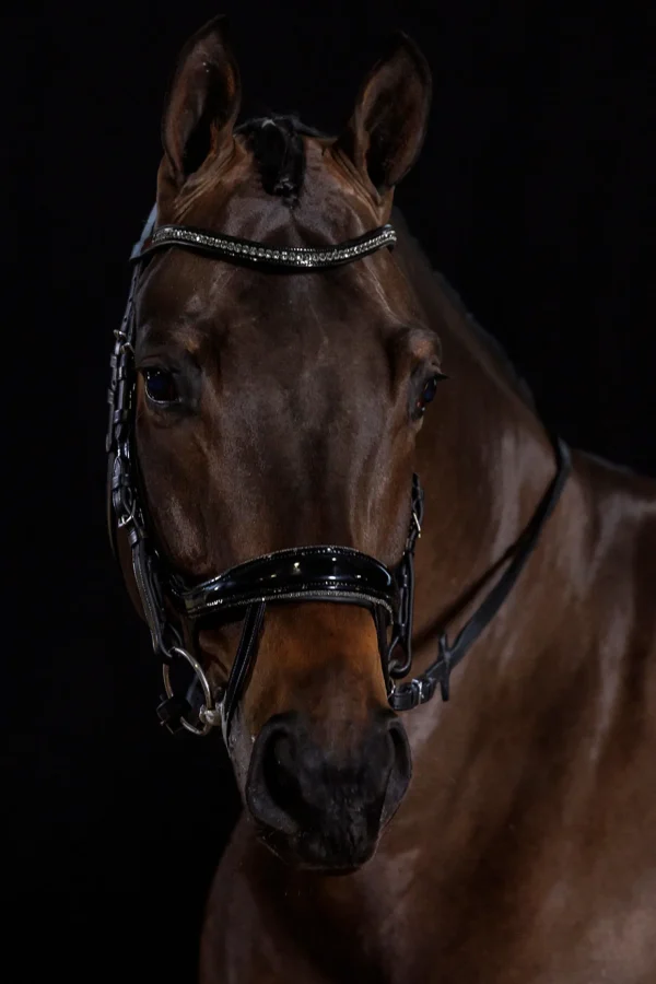 schockemohle Schockemöhle Sports Equitus Beta Glam hodelag* Ponni Hodelag Og Grimer | Hodelag & Nesereimer