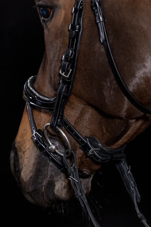 schockemohle Schockemöhle Sports Equitus Beta Glam hodelag* Ponni Hodelag Og Grimer | Hodelag & Nesereimer