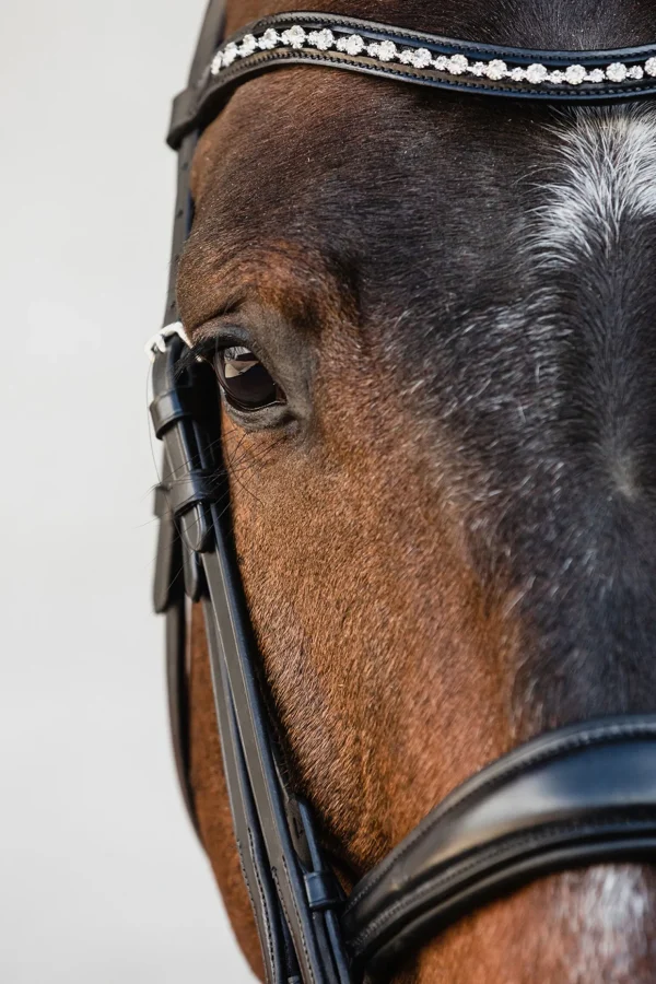 schockemohle Schockemöhle Sports Milton Anatomic  Double Bridle* Hodelag & Nesereimer