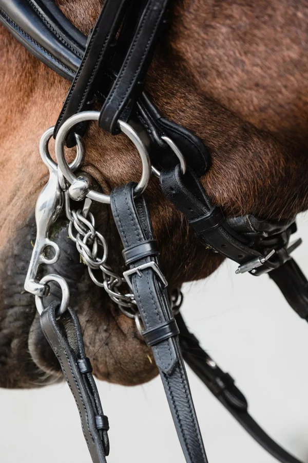 schockemohle Schockemöhle Sports Milton Anatomic  Double Bridle* Hodelag & Nesereimer