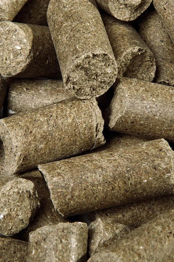 speed Eucalyptus Delicious ies, godbiter, 5 kilo* Hestegodteri