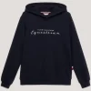 tommyhilfigerequestrian Tommy Hilfiger Equestrian Metallic Logo Grafisk hettegenser for kvinner* Gensere & Fleece