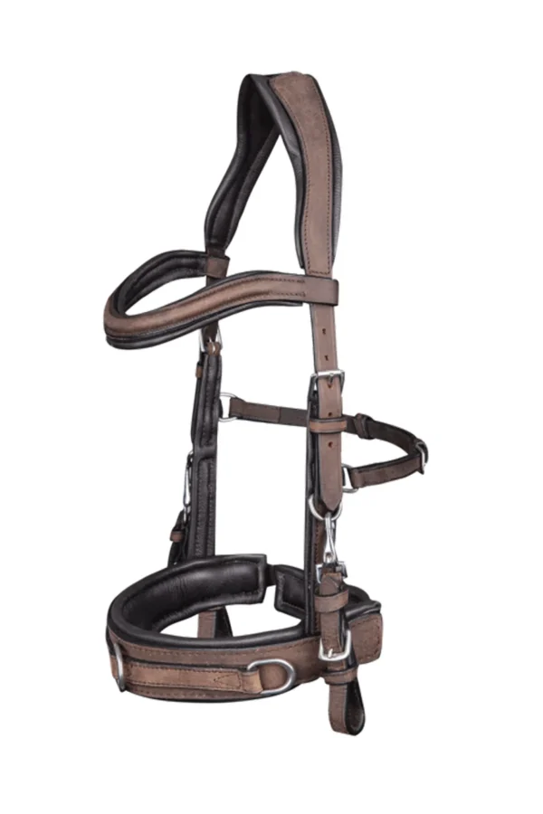 waldhausen Anatomic Cavesson* Kapsun | Kapsun