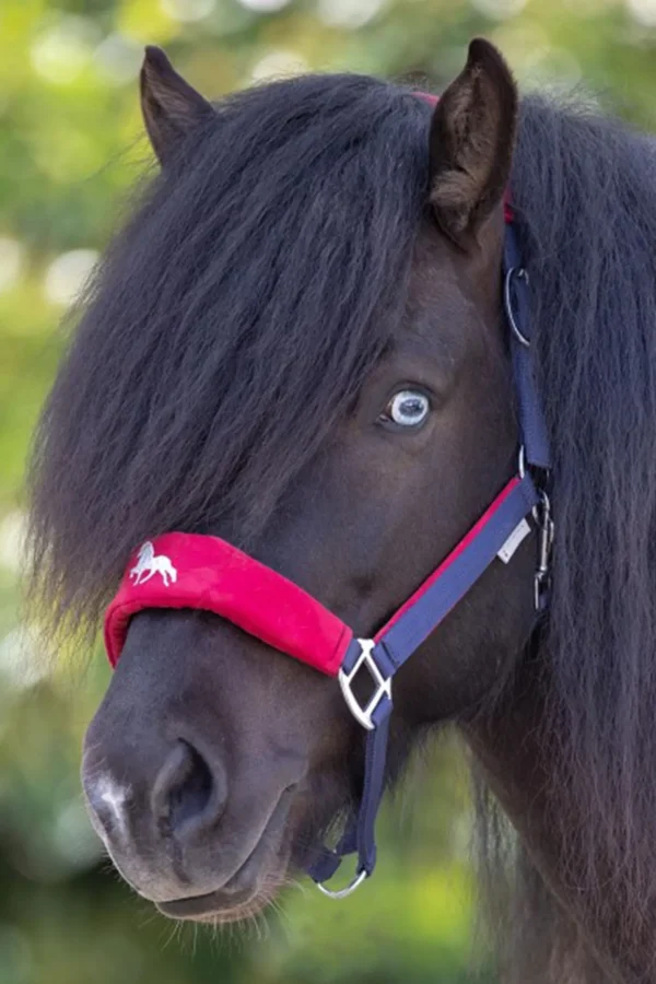 waldhausen Hellnar Icelandic Halter* Grimer