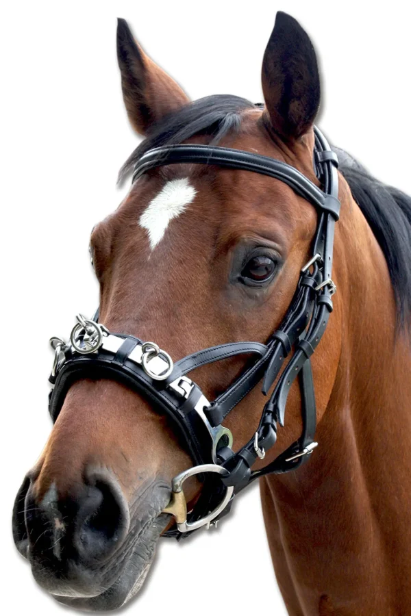 waldhausen Leather Cavesson* Kapsun | Kapsun