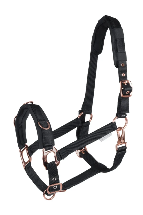 waldhausen Rosé Lunging Halter* Kapsun | Kapsun