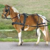 waldhausen sele, enbet, ponni og shetland* Seler For Trav