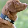 weatherbeeta Explorer hundehalsbånd* Hundebånd
