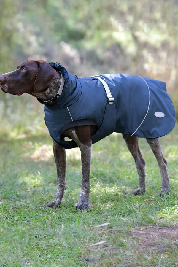 weatherbeeta Explorer Medium Hundefrakk* Hundeklær Og Hundedekken